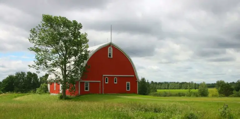 Red barn on a field
